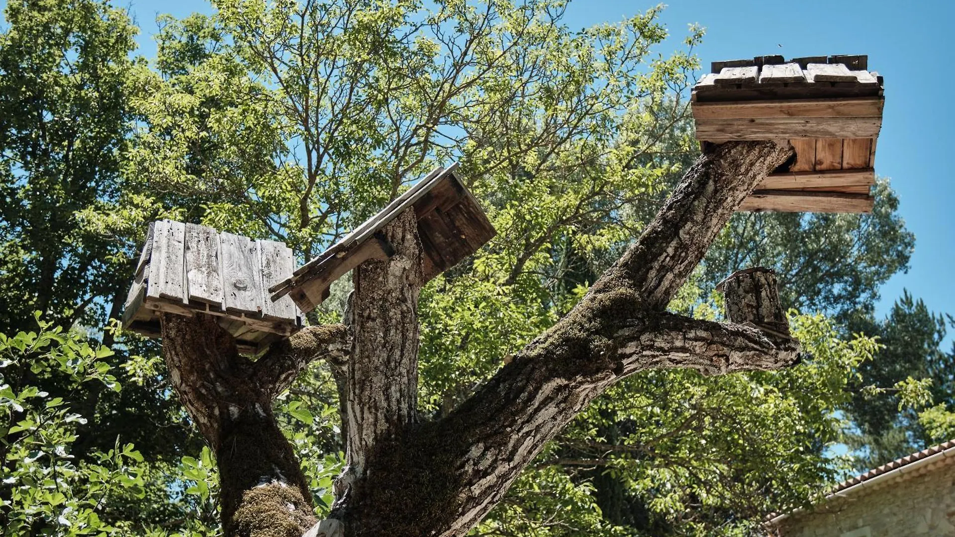Les Maisons De Chante Oiseau Sigonce Gasthuis